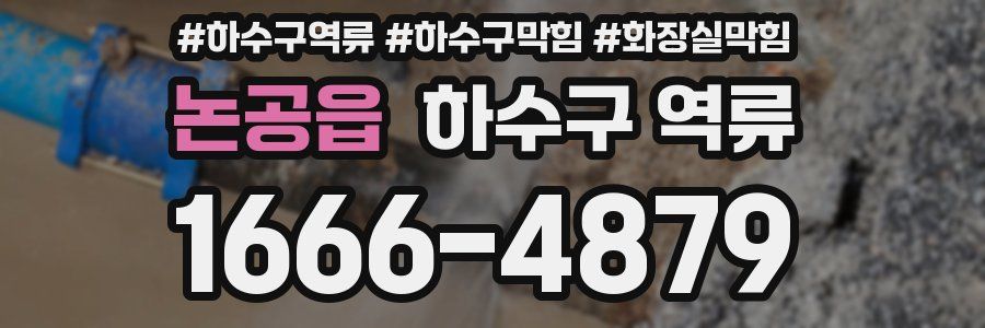 논공읍 하수구 역류