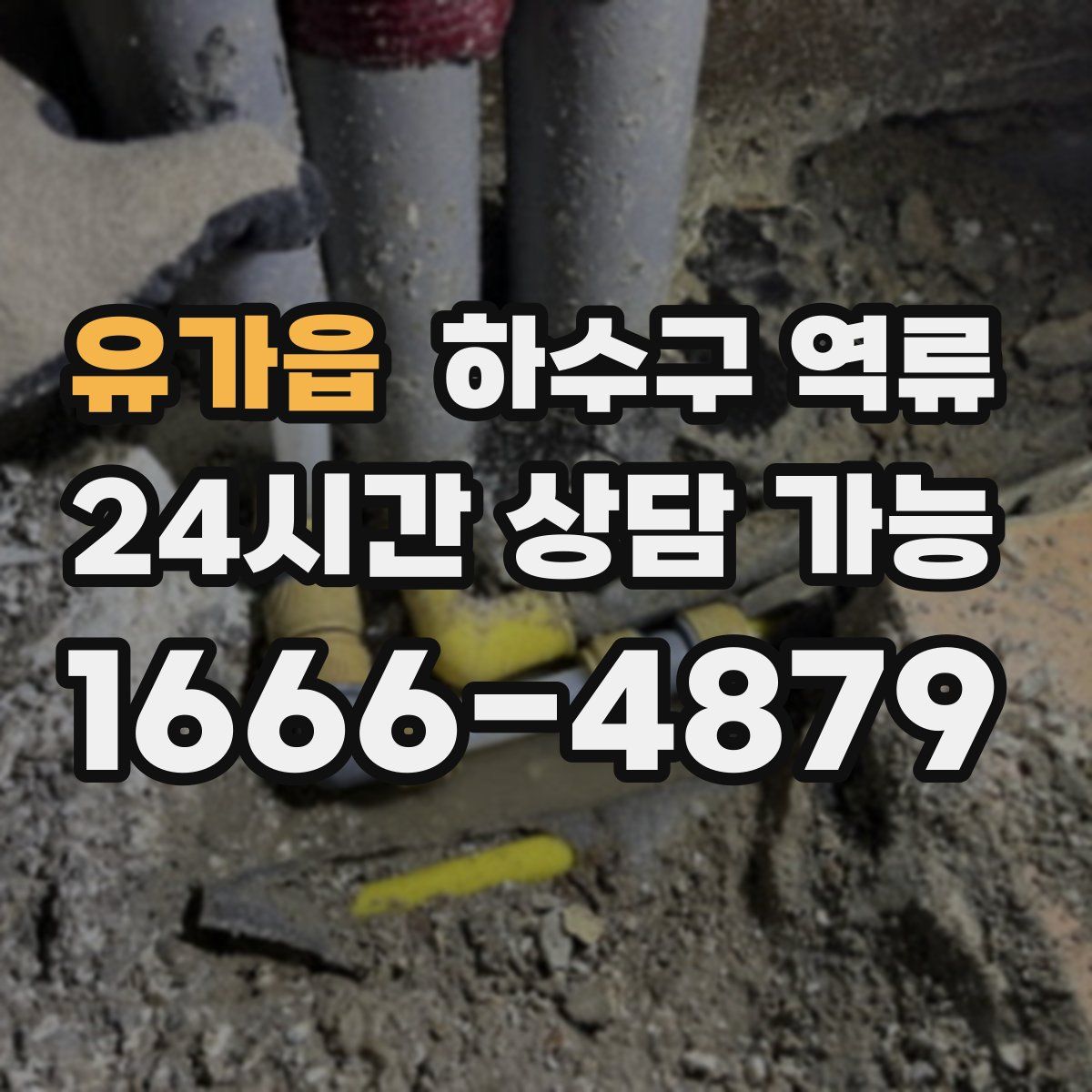 유가읍 하수구 역류
