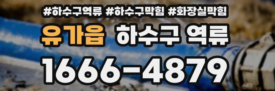 유가읍 하수구 역류