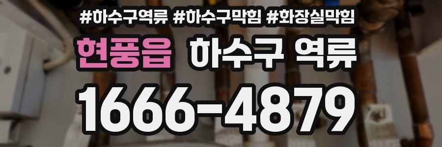 현풍읍 하수구 역류