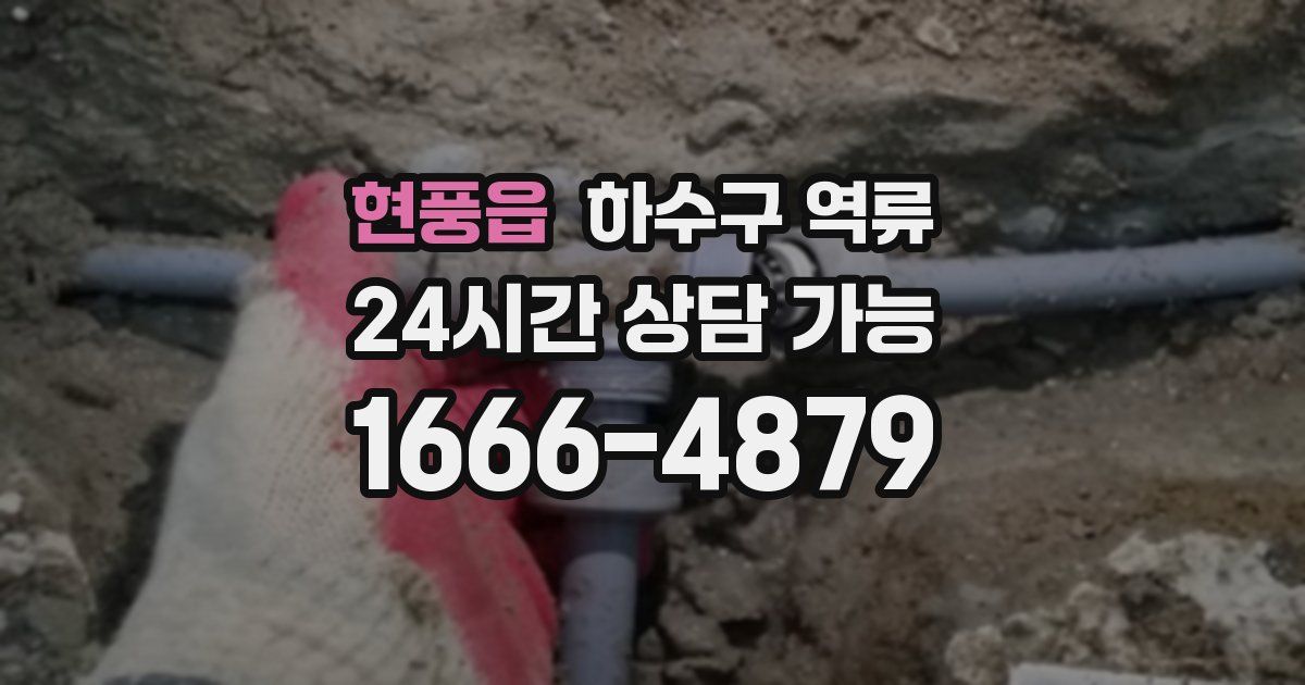 현풍읍 하수구 역류