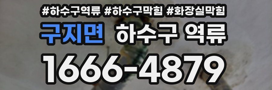 구지면 하수구 역류