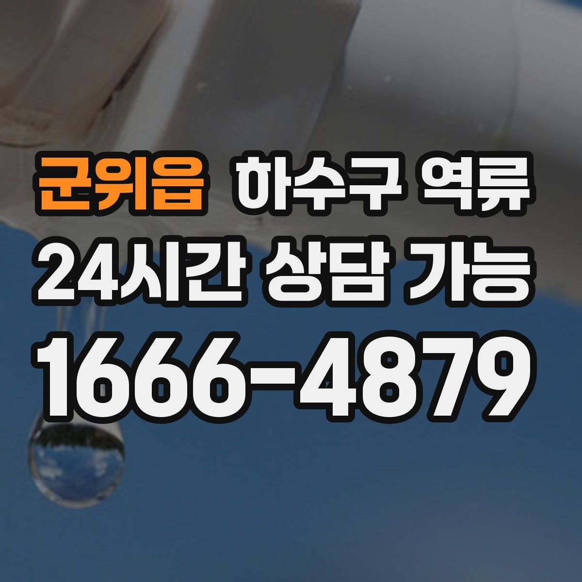 군위읍 하수구 역류