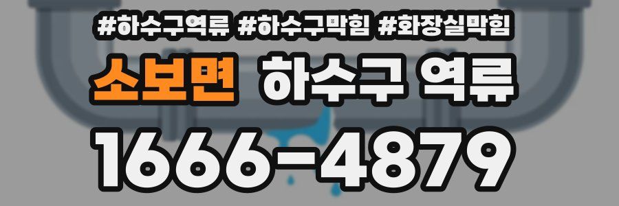 소보면 하수구 역류