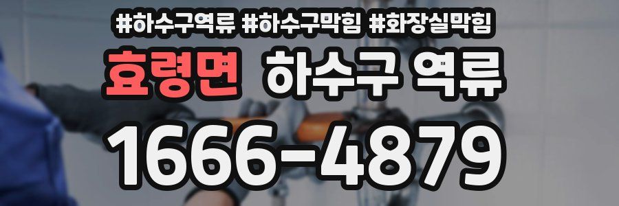 효령면 하수구 역류