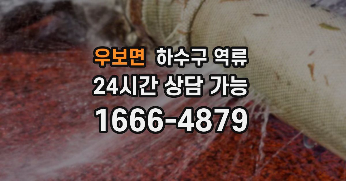 우보면 하수구 역류