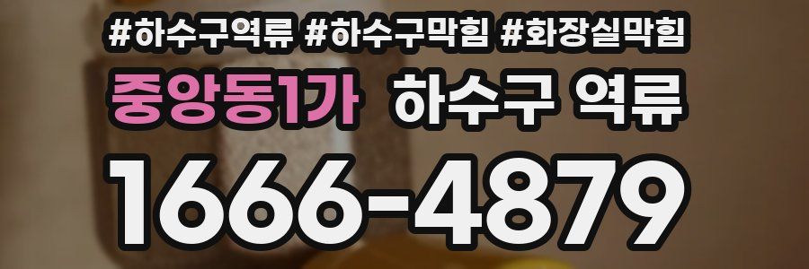 중앙동1가 하수구 역류