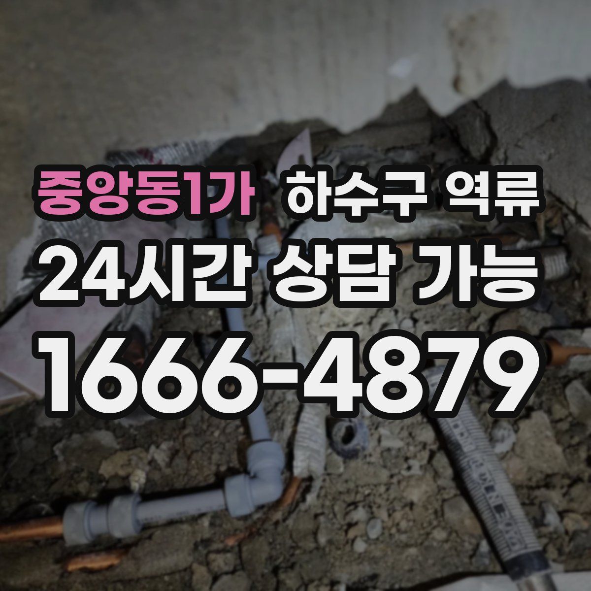 중앙동1가 하수구 역류