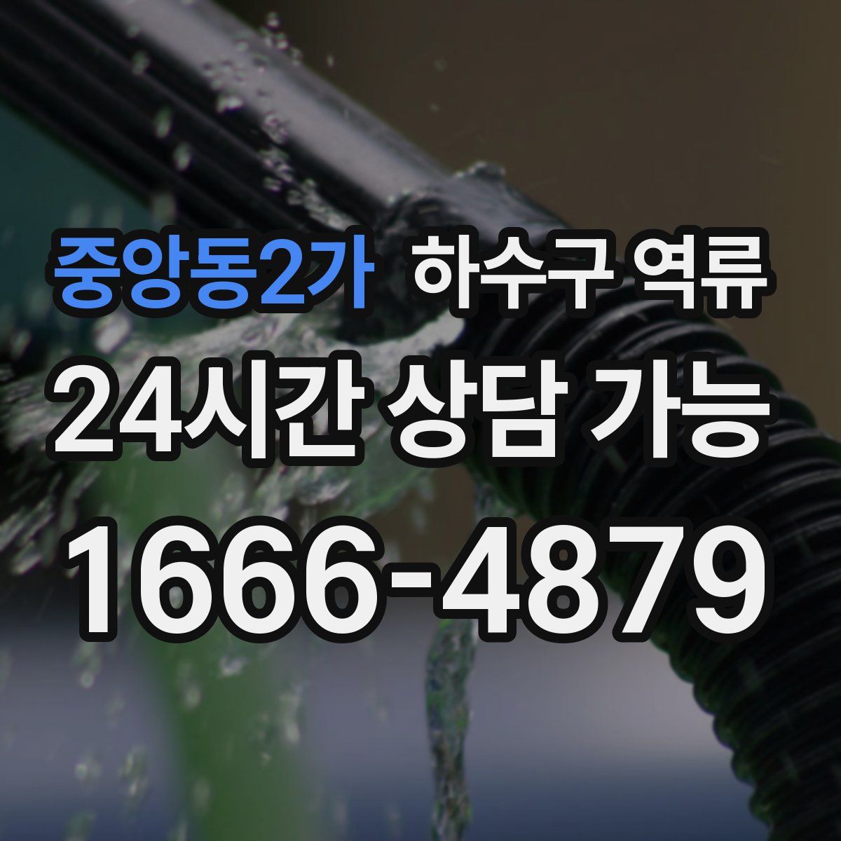 중앙동2가 하수구 역류