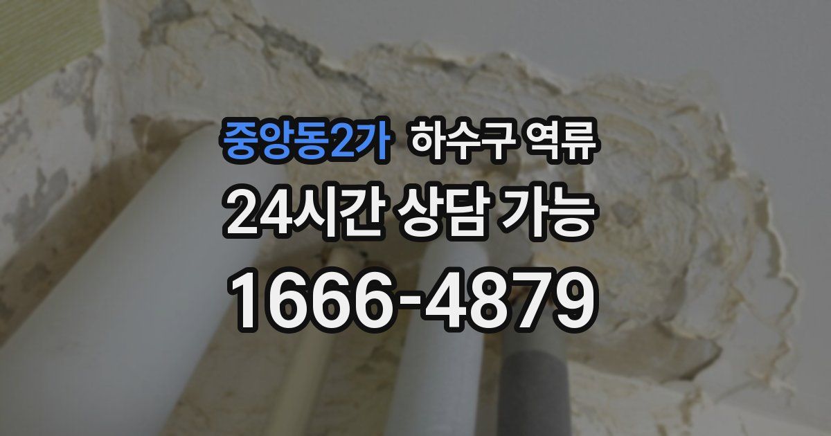 중앙동2가 하수구 역류