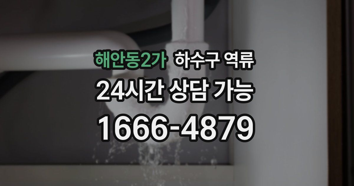 해안동2가 하수구 역류