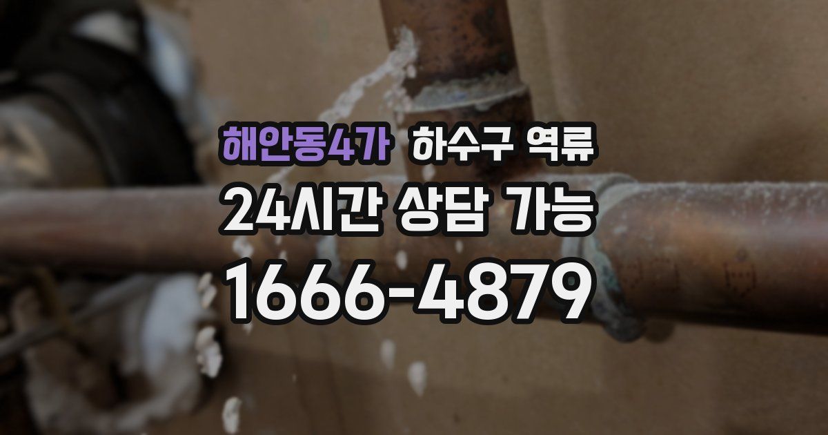 해안동4가 하수구 역류