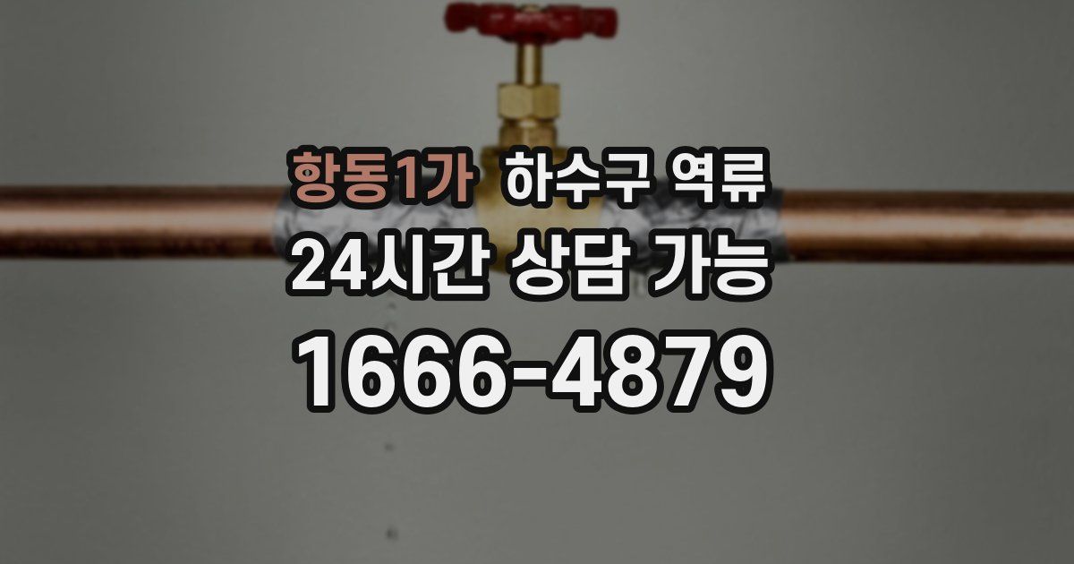 항동1가 하수구 역류