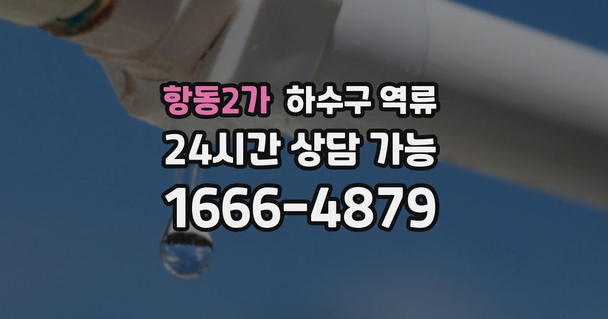 항동2가 하수구 역류