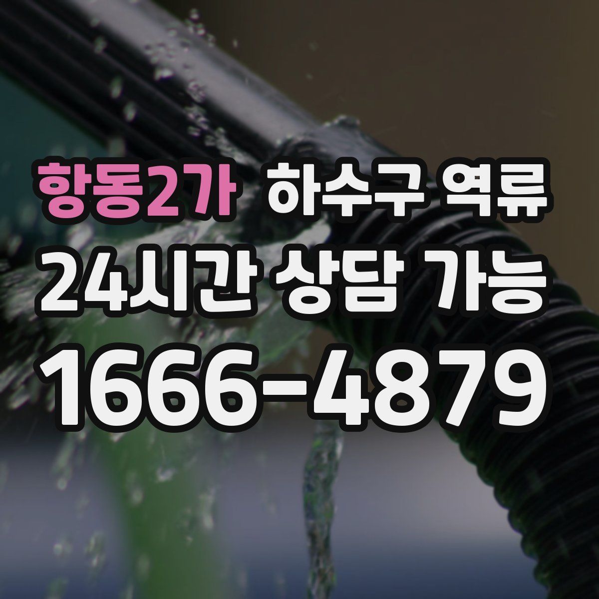 항동2가 하수구 역류