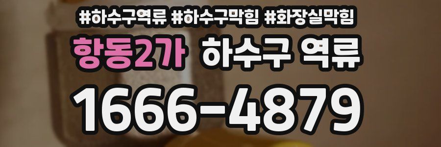 항동2가 하수구 역류