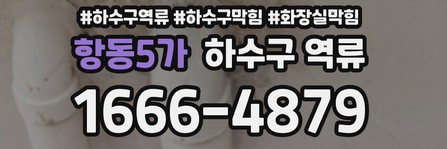 항동5가 하수구 역류