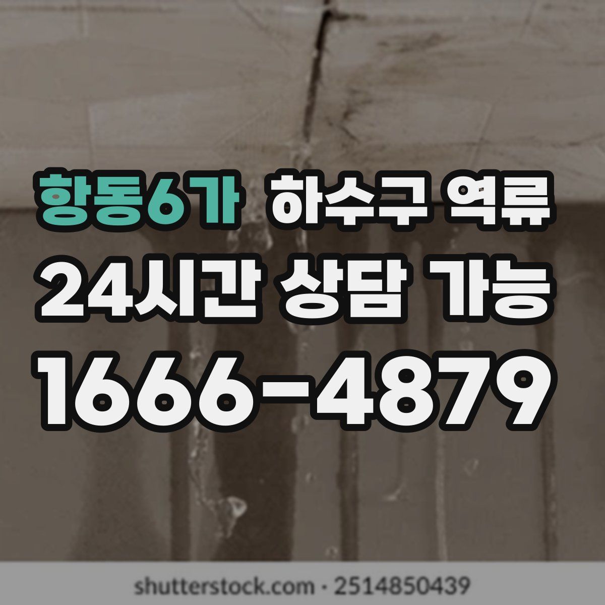 항동6가 하수구 역류