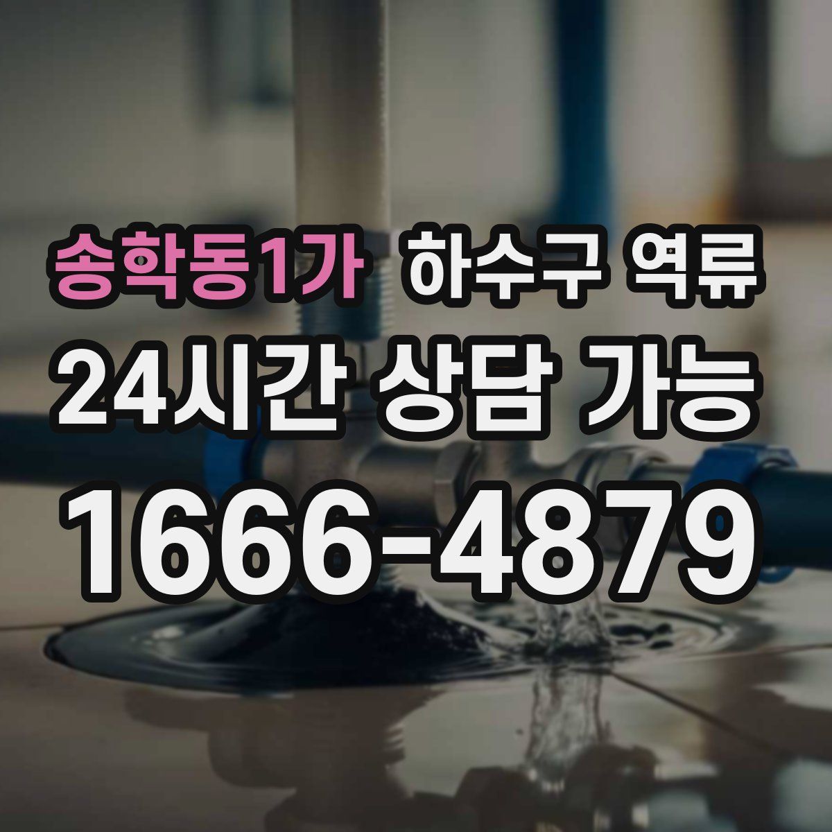 송학동1가 하수구 역류