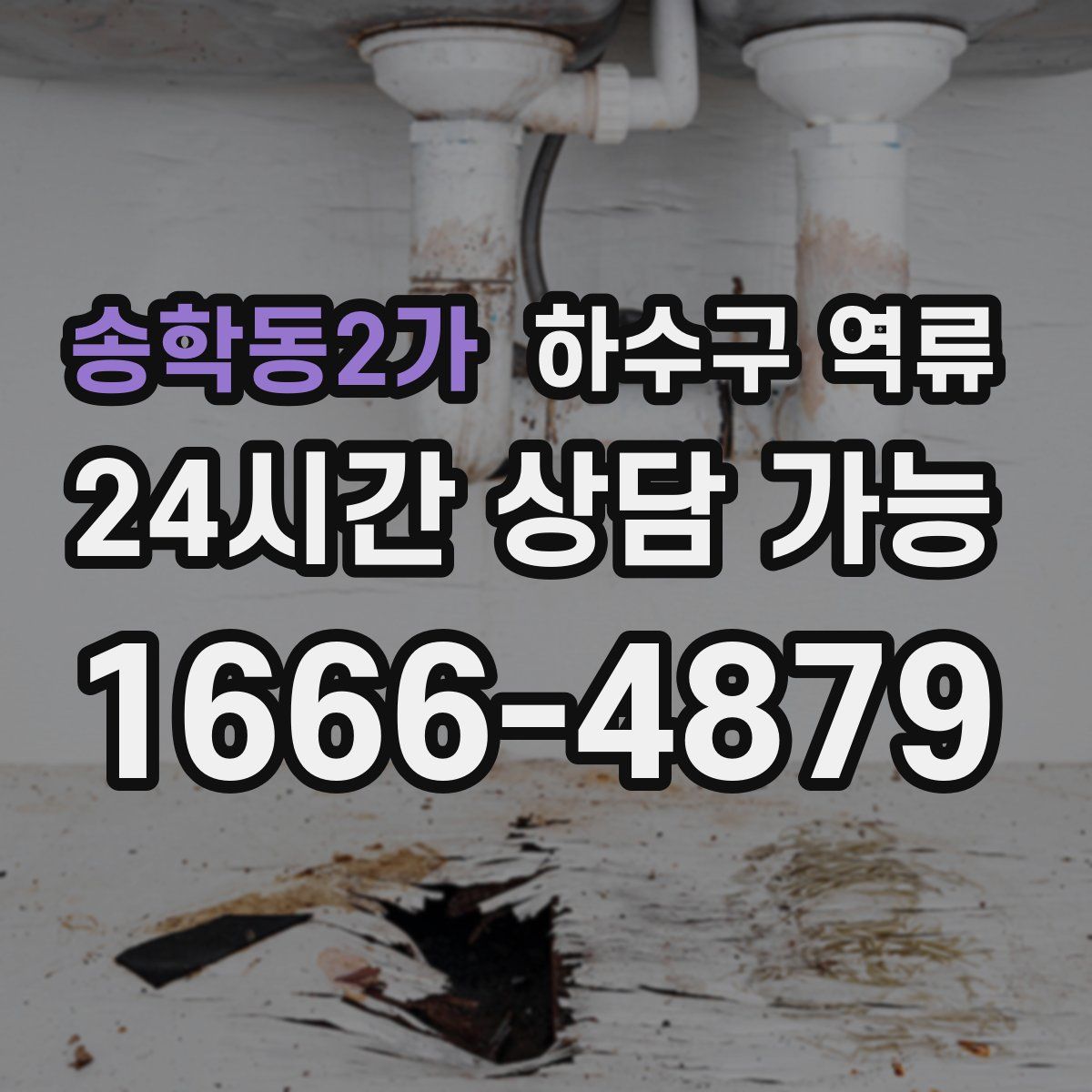 송학동2가 하수구 역류