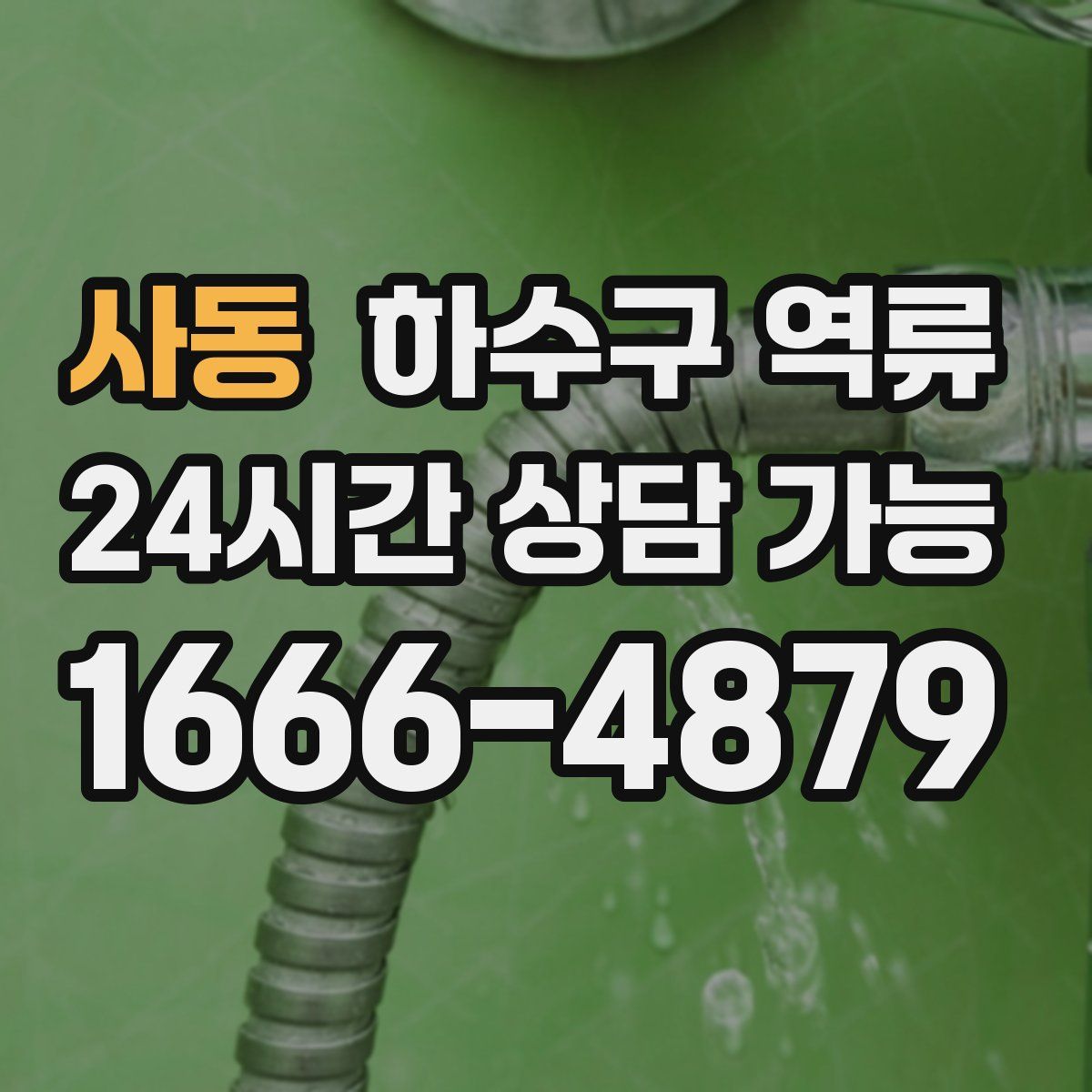 사동 하수구 역류