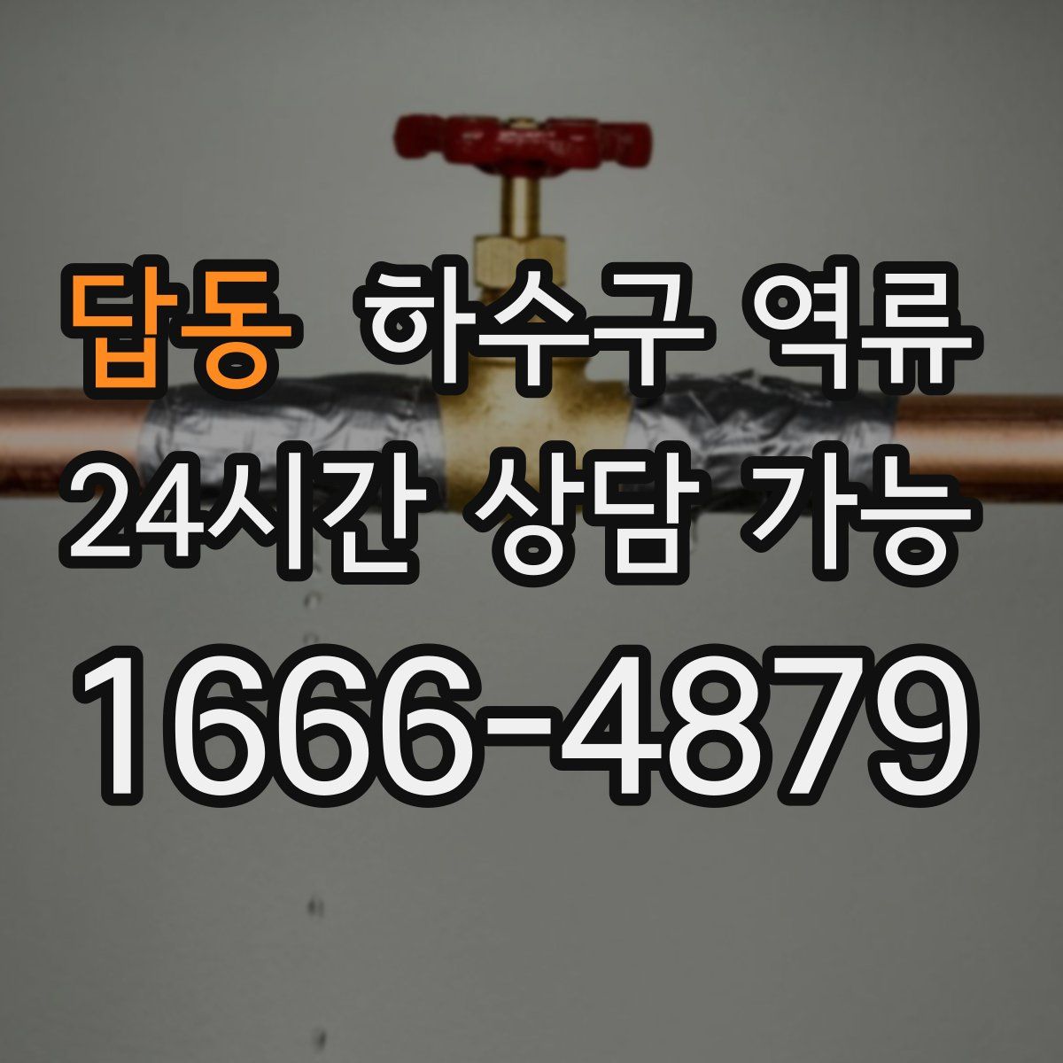 답동 하수구 역류