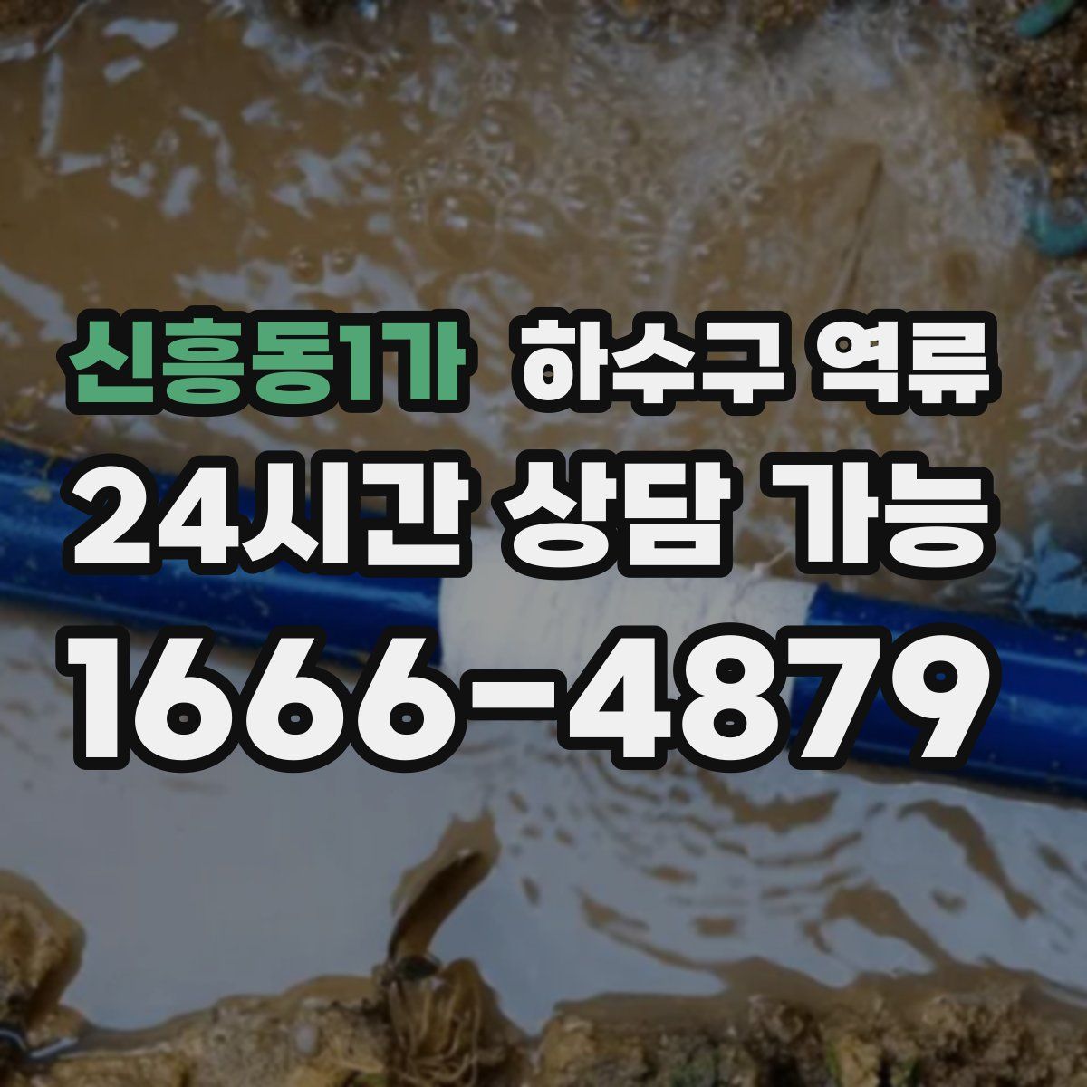 신흥동1가 하수구 역류