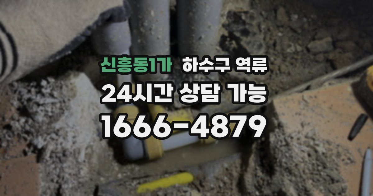 신흥동1가 하수구 역류