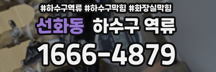 선화동 하수구 역류