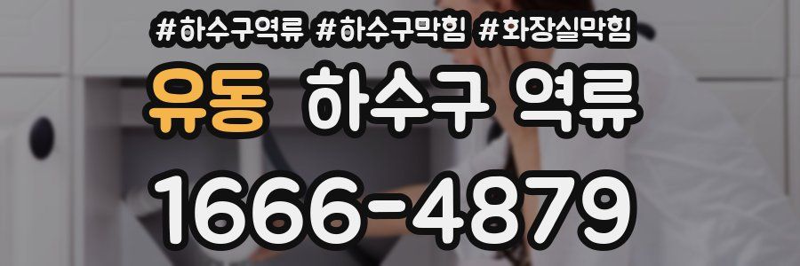 유동 하수구 역류