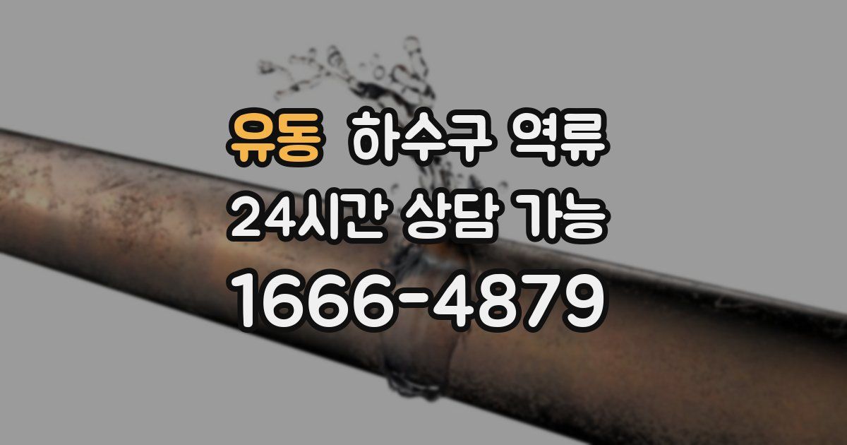 유동 하수구 역류