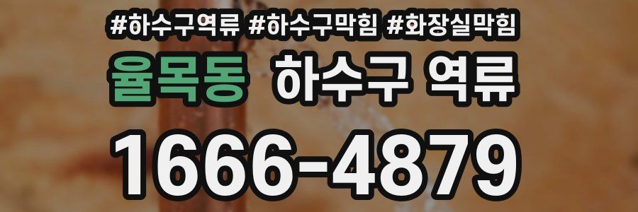 율목동 하수구 역류