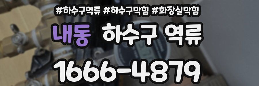 내동 하수구 역류