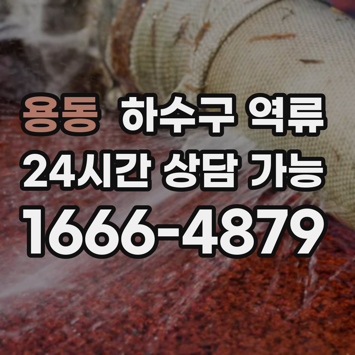 용동 하수구 역류