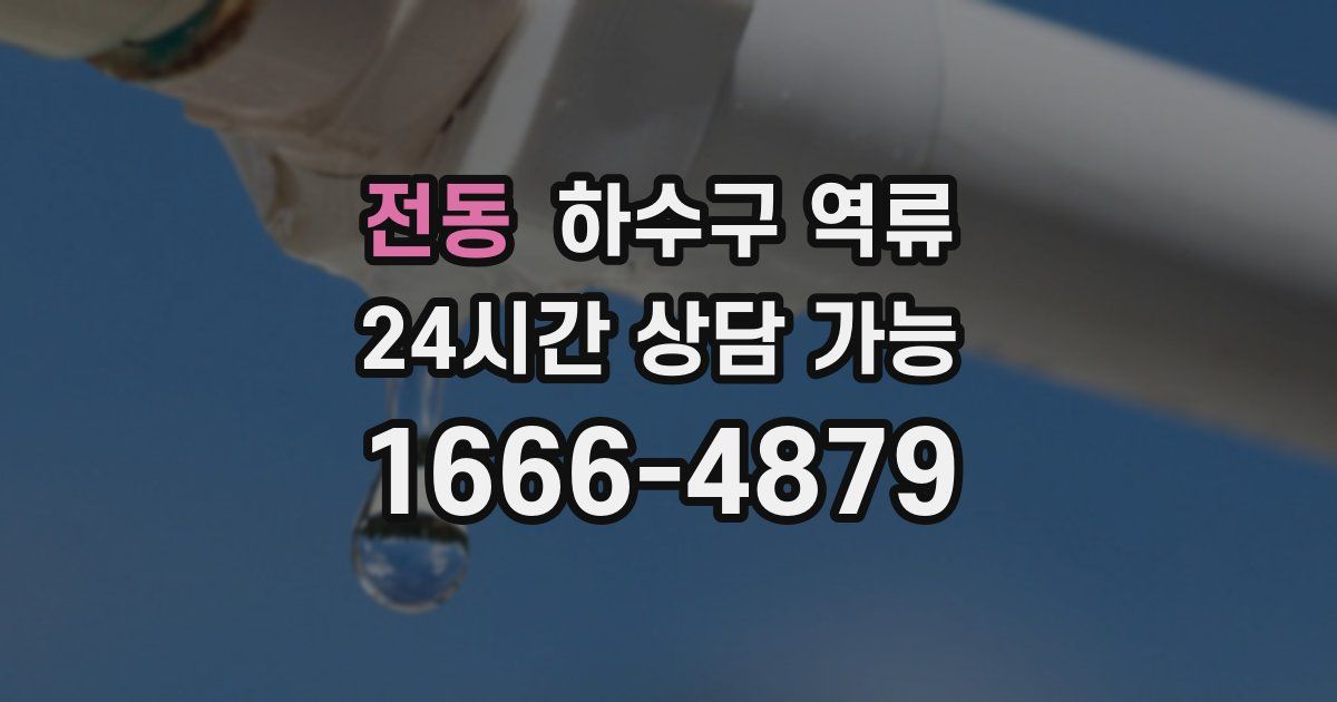 전동 하수구 역류