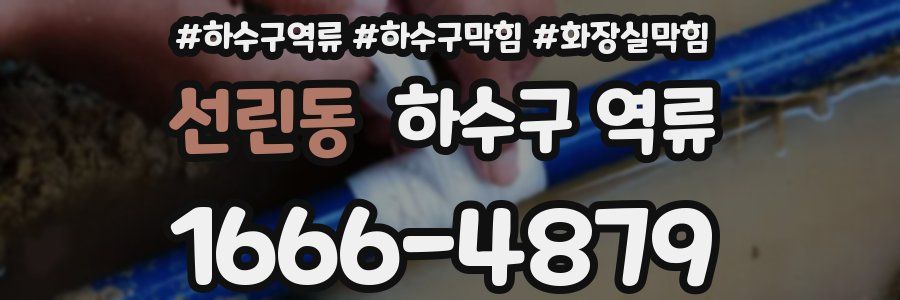 선린동 하수구 역류