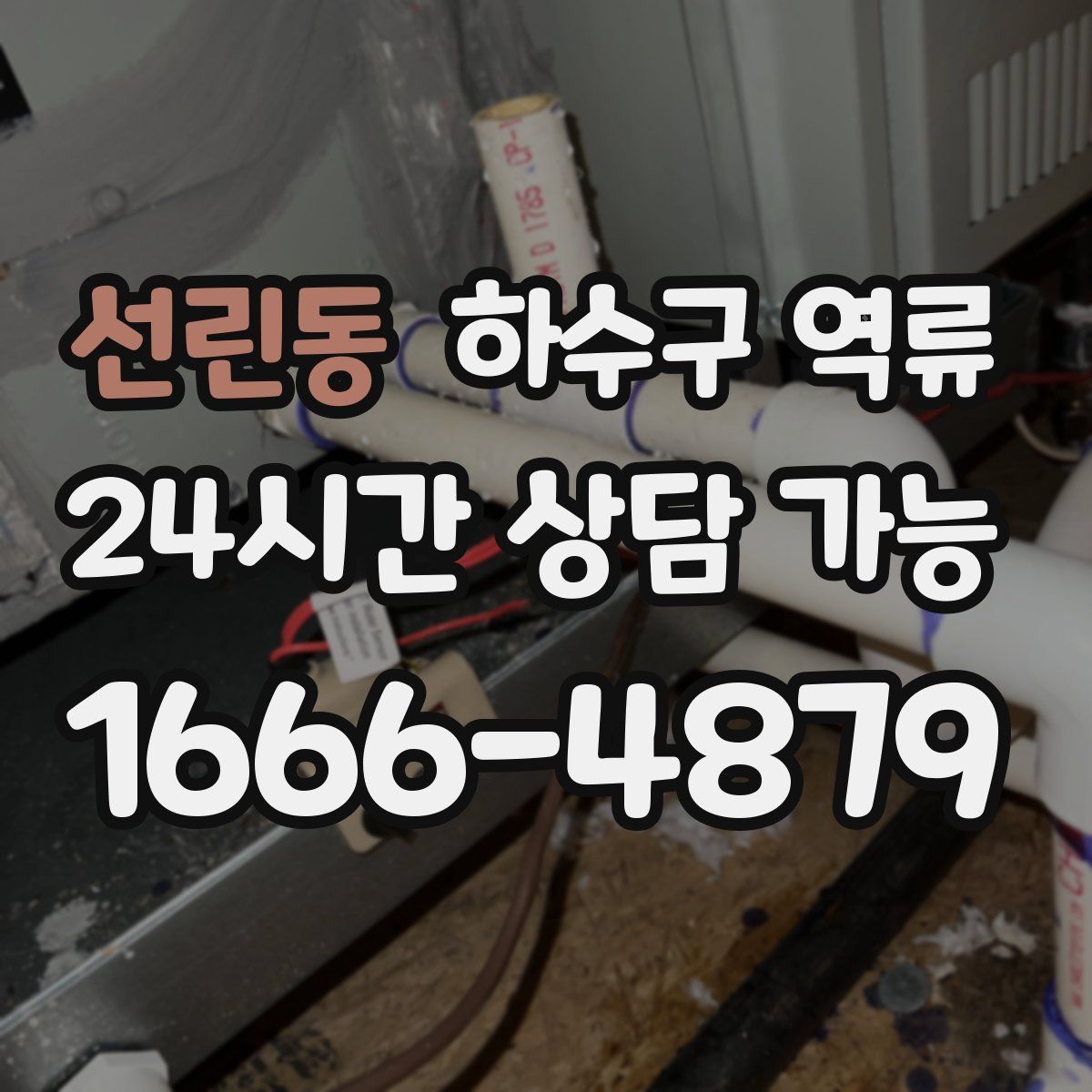 선린동 하수구 역류