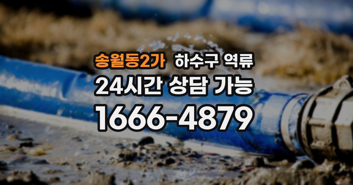 송월동2가 하수구 역류