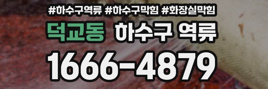 덕교동 하수구 역류