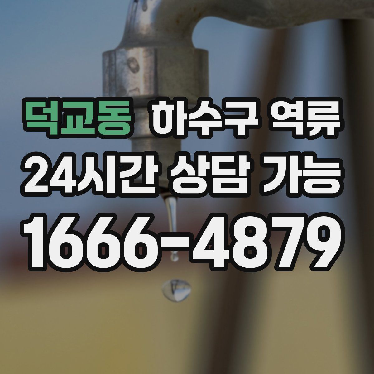 덕교동 하수구 역류