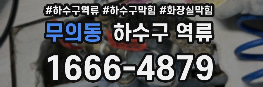 무의동 하수구 역류