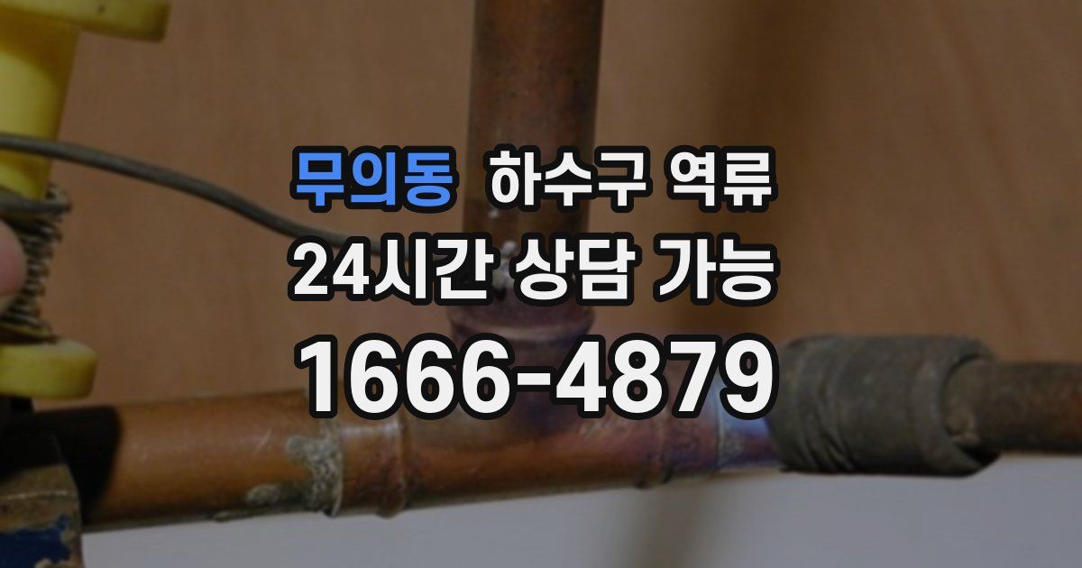 무의동 하수구 역류