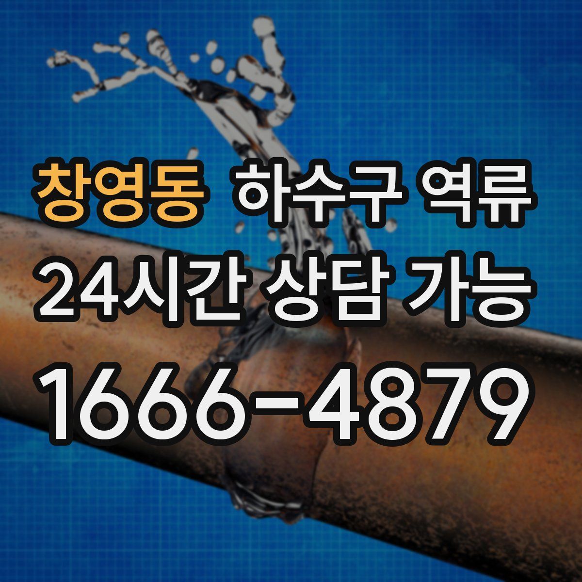 창영동 하수구 역류