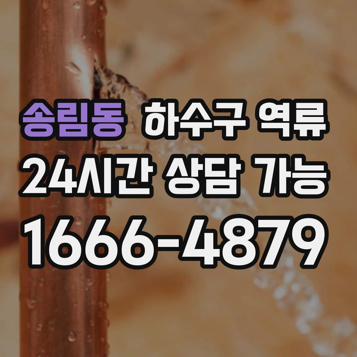 송림동 하수구 역류