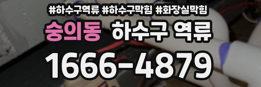 숭의동 하수구 역류