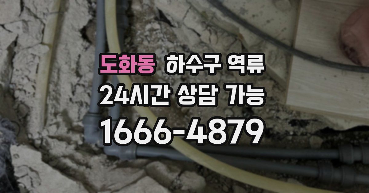 도화동 하수구 역류