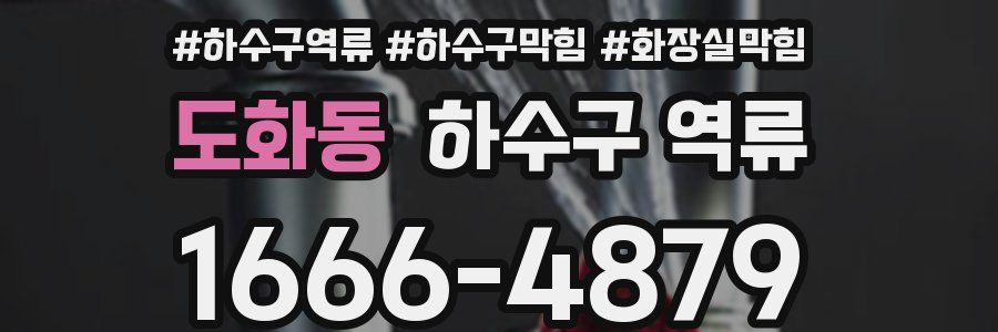 도화동 하수구 역류