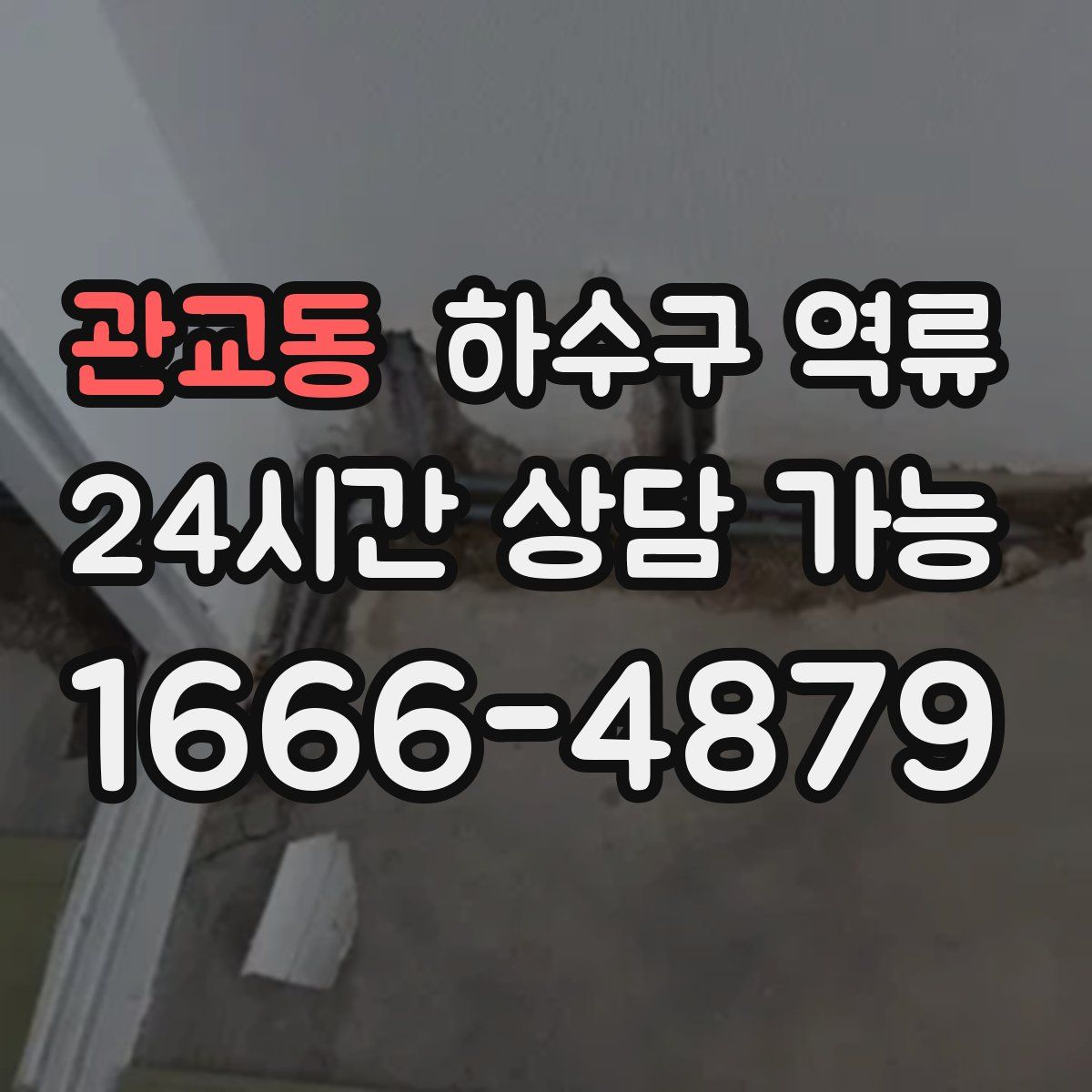 관교동 하수구 역류