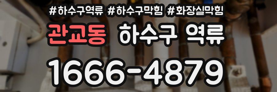 관교동 하수구 역류