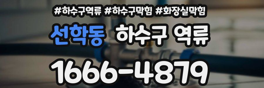 선학동 하수구 역류